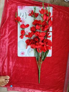 Red Hibiscus Flower Bunch