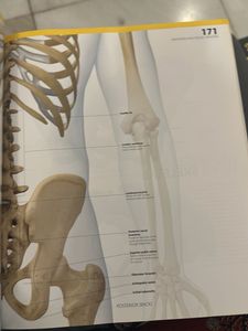 The Complete Human Body