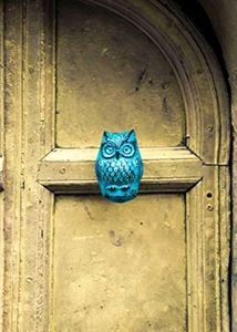 Antique Owl Door Knocker