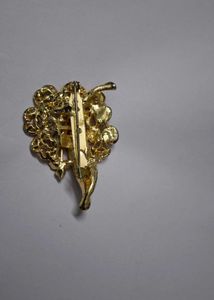 Brooches Pin