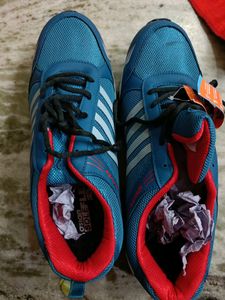 Asian Brand New Shoes With Tag