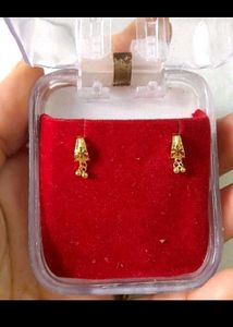 Beautiful Earrings And Nosepin