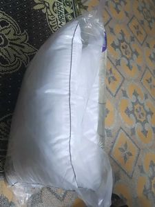 Portico Celebration Pillow pack of 2