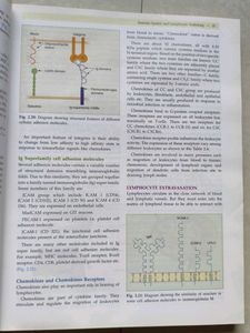 Essentials of Immunology
