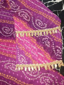 Pakistani 2 Piece Suit