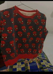 Light Weight Sweatshirt