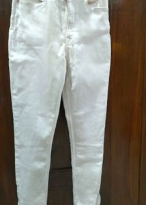 Jeans Pant