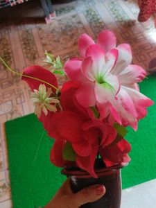 Flower Pot