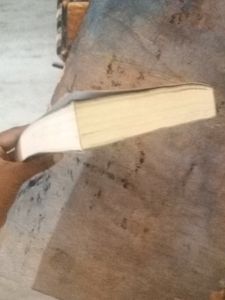 Wings Of Fire (Darkness Dragons) Fiction Bo