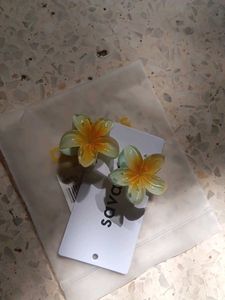 Mini Cluchters From Savana