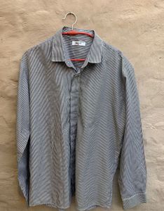 Striped Tester brand  Shirt