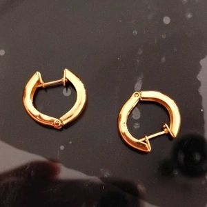 Beautiful Gold Demifine Earrings