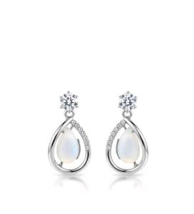 💐Elegant Drop Earrings