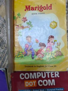 Std 2 And 3 Ncert Books