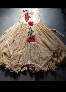 Very Beautiful And Elegant Pretty Golden Gown