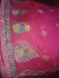 Dupattas For Occasion
