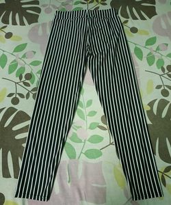 Casual Slim Fit Trousers For Women