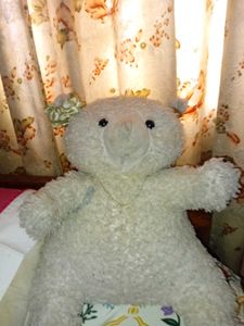 Cute Teddy Bar
