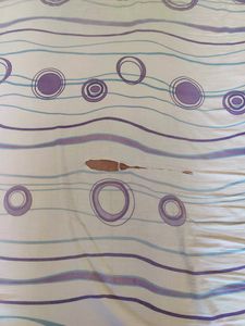 Used Bedsheets