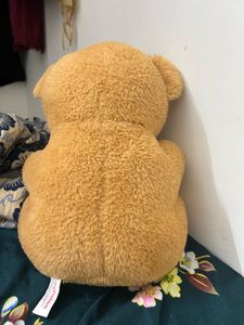 Cute Brown Teddy Bear