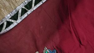 Heavy Saree ❤️