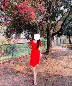 THE RED DRESS