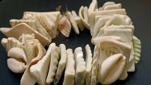 Beachy Shell Bracelet