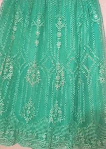 Elegant lite green 🦠 Embellished Lehenga Choli