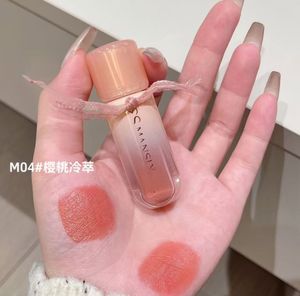 4pcs Chinese Lip Glaze