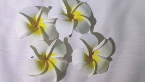 White And Yellow Flower Hair Accessories