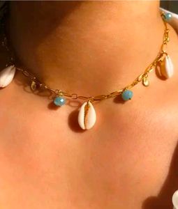 Seashell or Cowrie shell Charm Necklace
