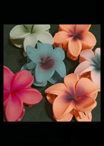 Colorful Flower Hair Clips - Set of 6
