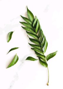 dry Curry Leaves