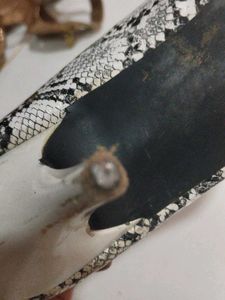 Pointed Heels Shoe