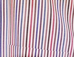 Nordstorm shirts Striped Button-Down Shirt