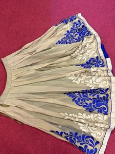 Embroidered Ethnic Skirt