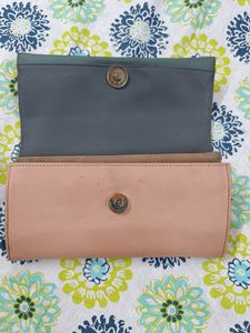 Baggit Clutch