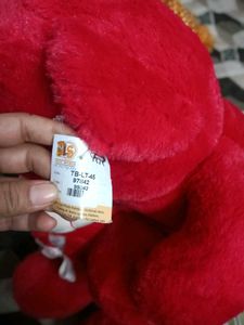 Red Teddy Bear with Love Heart