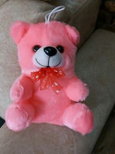 Teddy 🧸