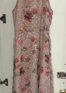 women   dress