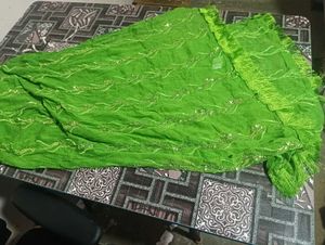 Green Embellished Dupatta