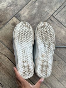 Men Sneakers