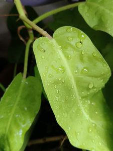 Combo for @thriftstore