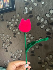 Tulip