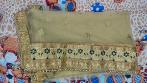 Elegant Lehenga Choli Set