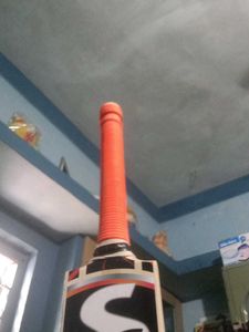 SG Cricket Bat