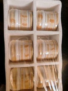 Set of 6 Bio China Cups