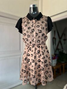 Floral Dress with Collar