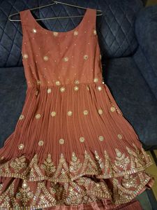 Embroidered Indian Outfit