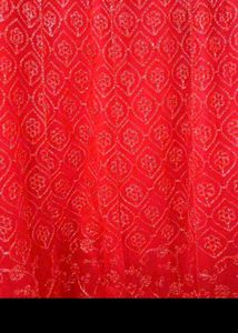 Red Embellished Lehenga Choli